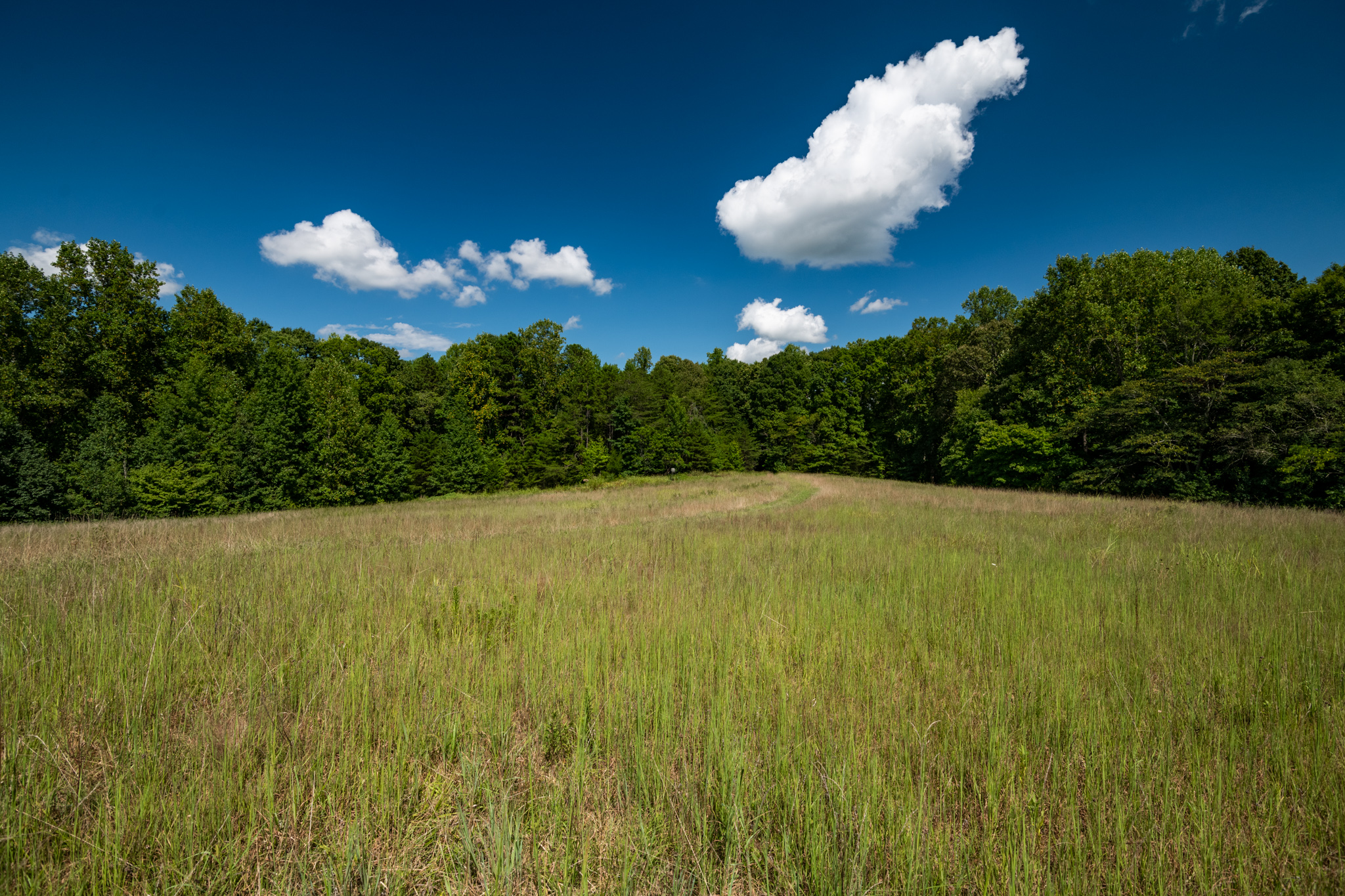 Three 45 Acre Homesites in Davidson, NC About Davidson